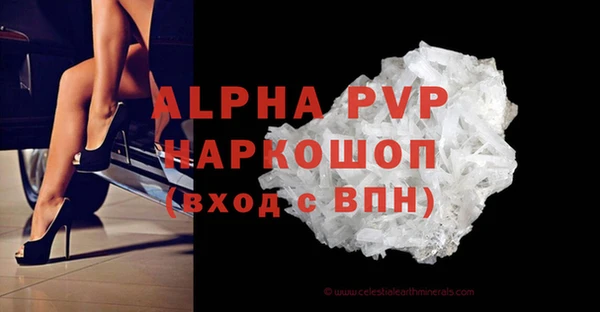 прущие грибы Пестово